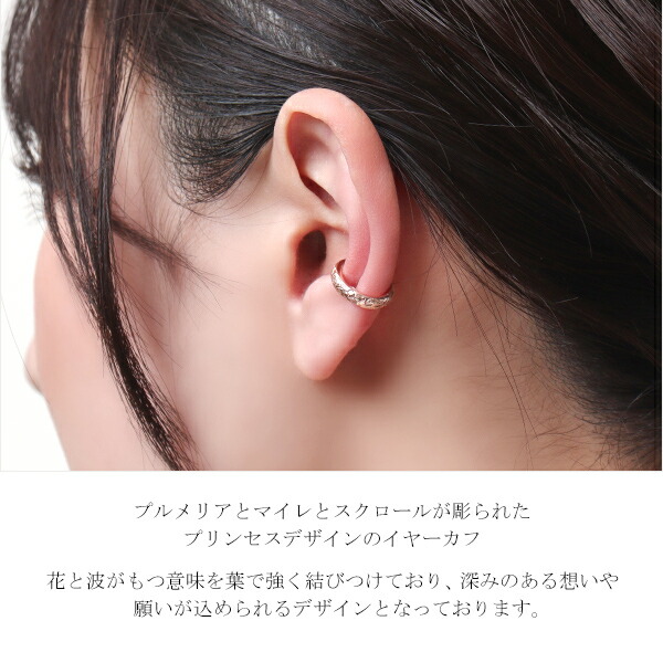 aab-gess231-pg