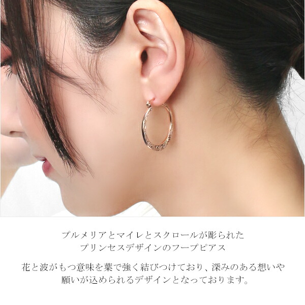 aab-gess303-pg