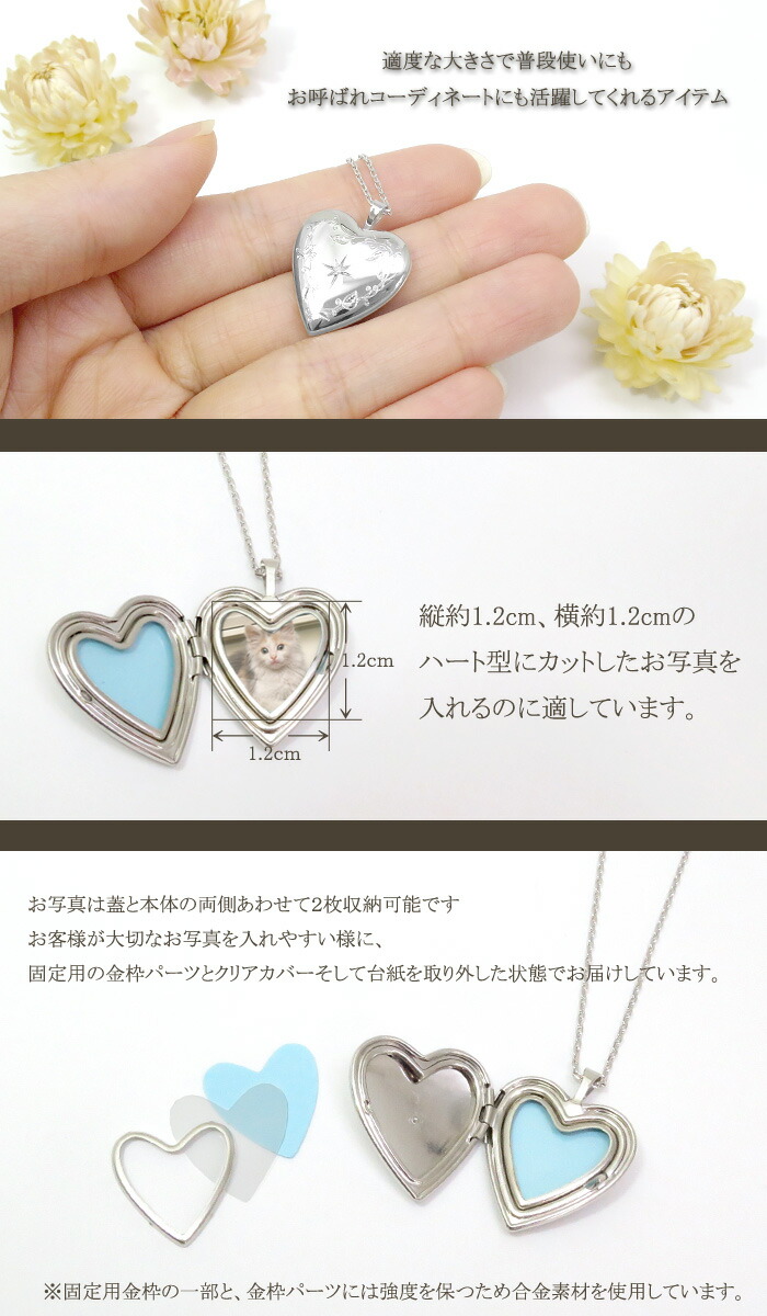 tfc-ss10639d-chain