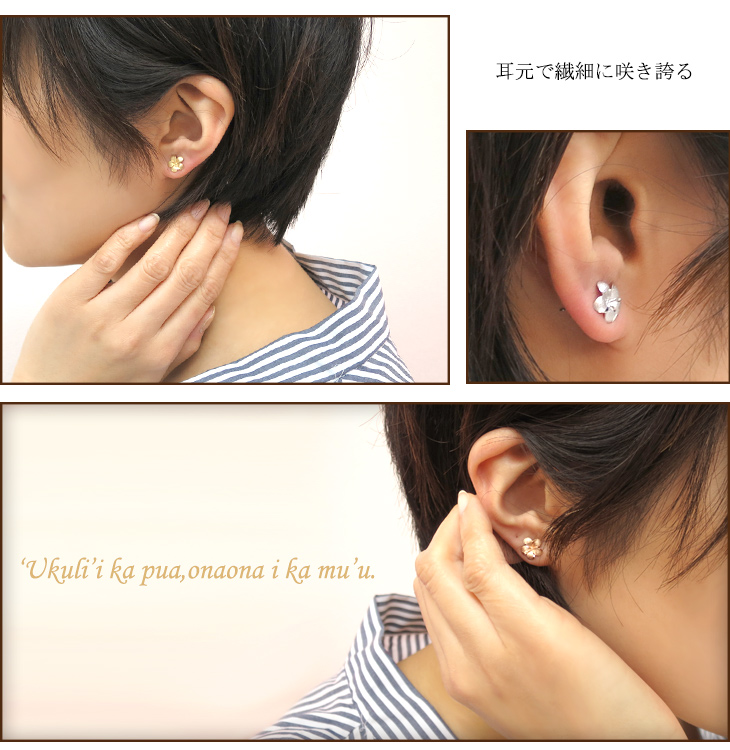 x-fqv-g561