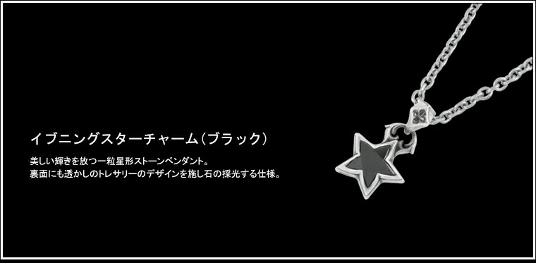 ac-acp0294