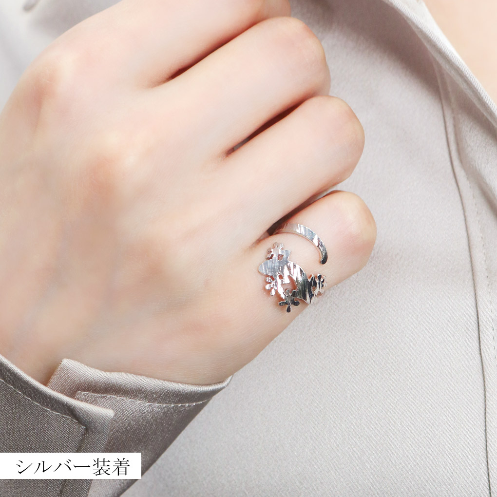 csk-srv778-1327-1513