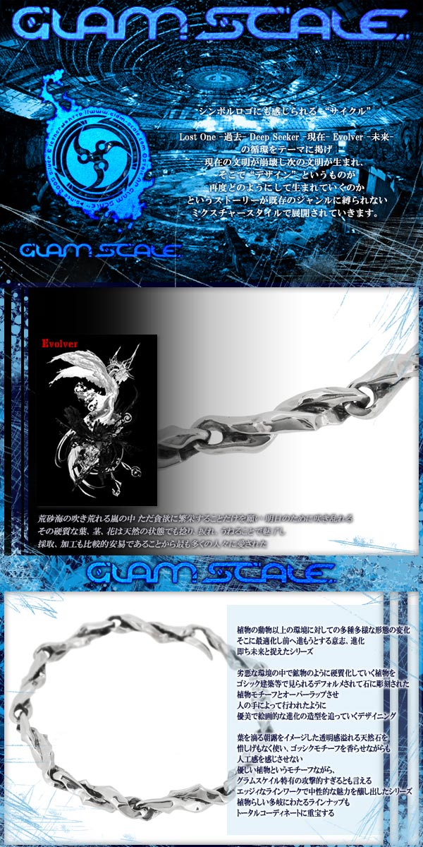 fgs-eb-001