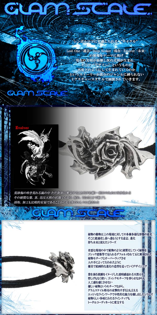 fgs-eg-001