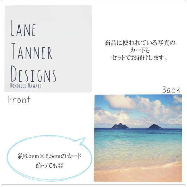 ltd-nm-b1