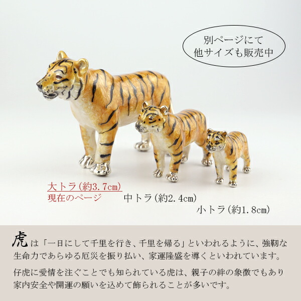 x-fn-st833-1