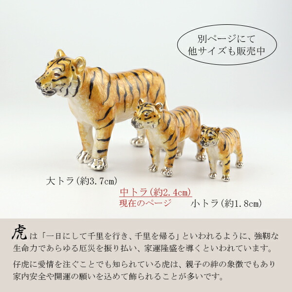 x-fn-st833-2