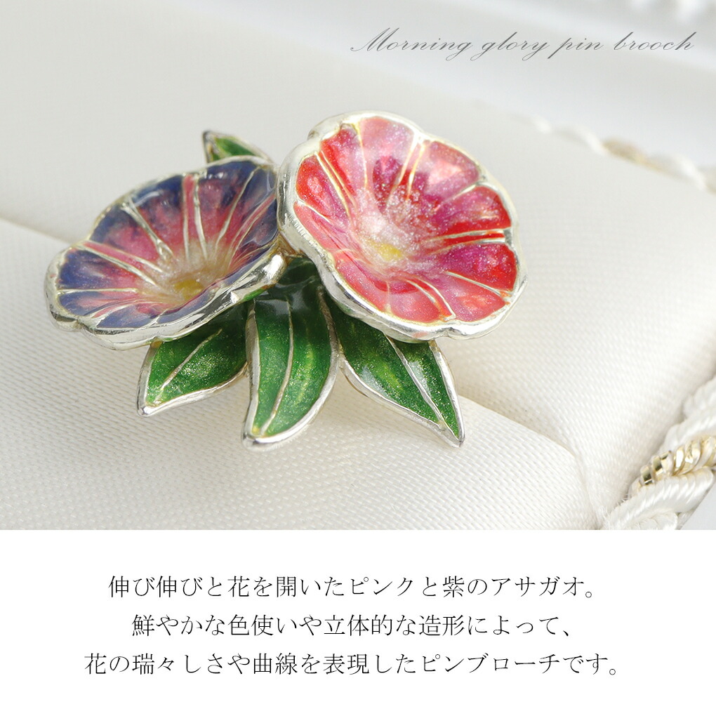 x-fn-spni-156