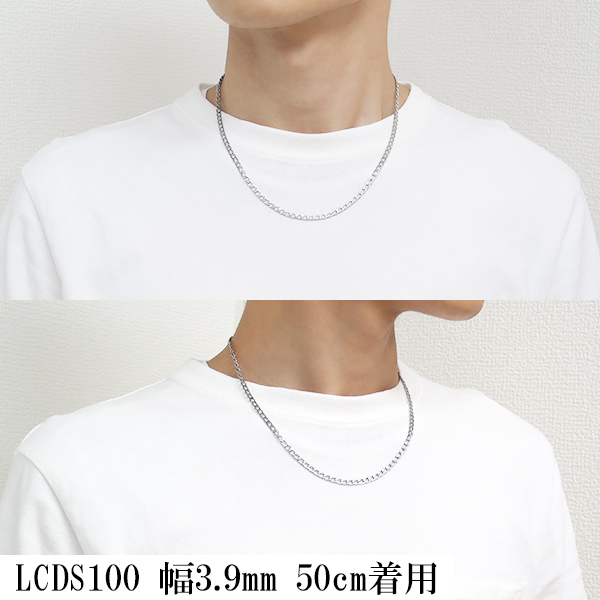 lcds100