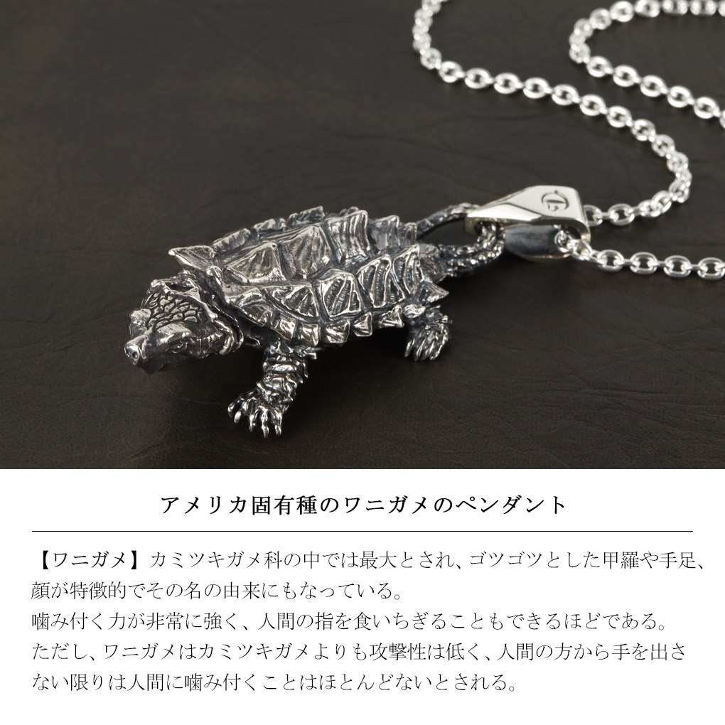 cis-01-020