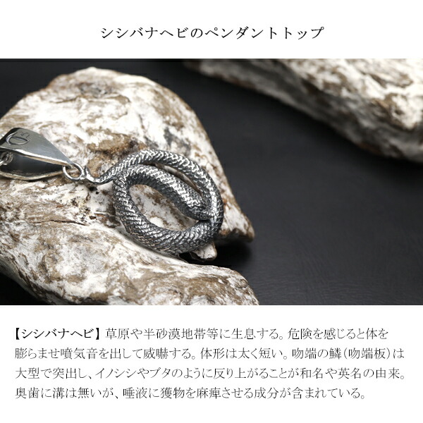 cis-01-035