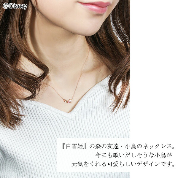x-dpcds-20273