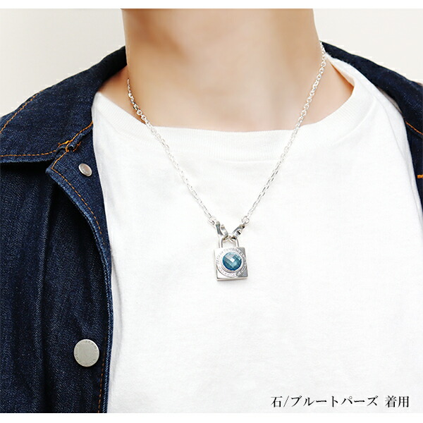 drm-fc-137phse-sv2