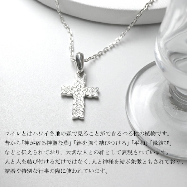 rzu-dnn-02