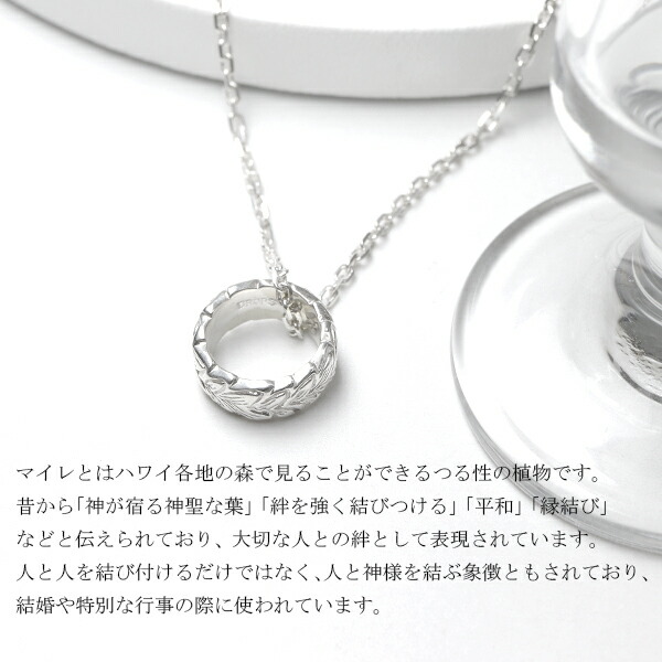 rzu-dnn-04