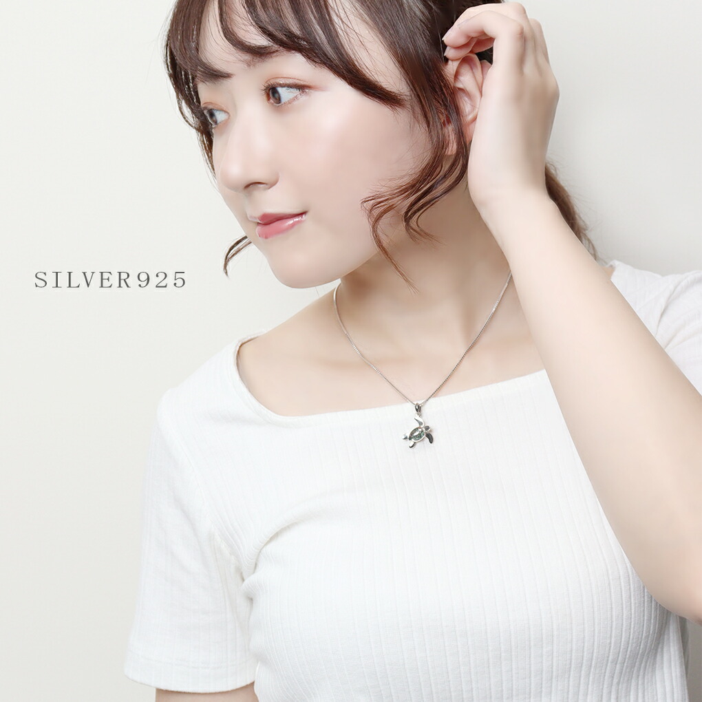 fa-p-0205