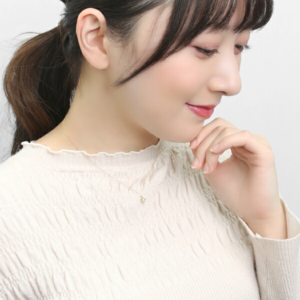 x-flc-p63-1028