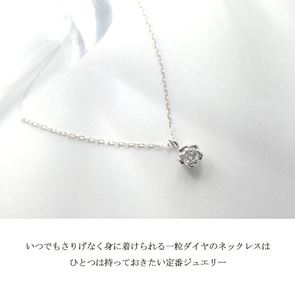 x-flc-p63-2211