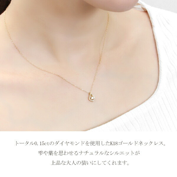 x-flc-p63-2713