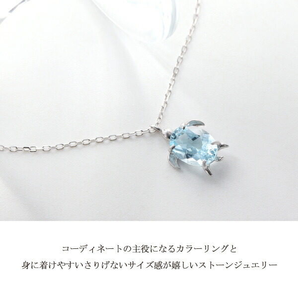 x-flc-p63-2775