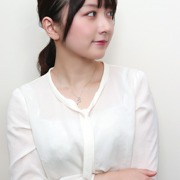 x-flc-p63-2778