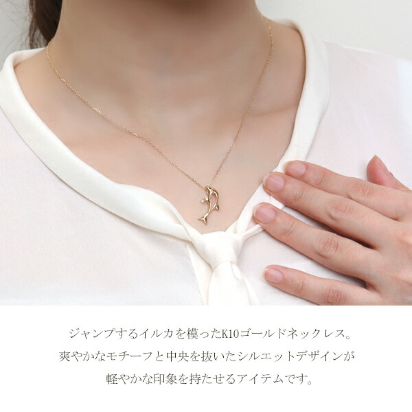 x-flc-p63-2779