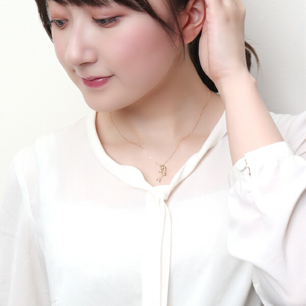 x-flc-p63-2779