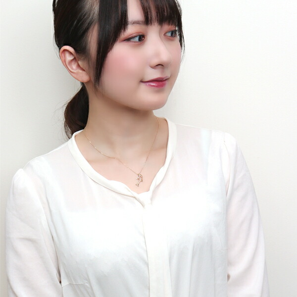 x-flc-p63-2779