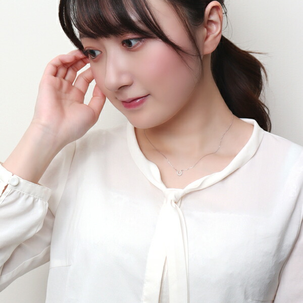 x-flc-p63-2788