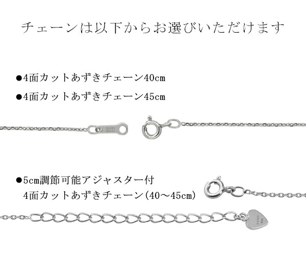 fj-t030-chain