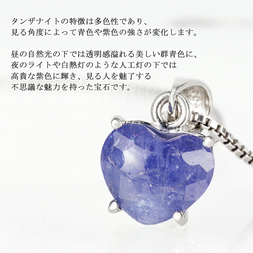 tn-t19