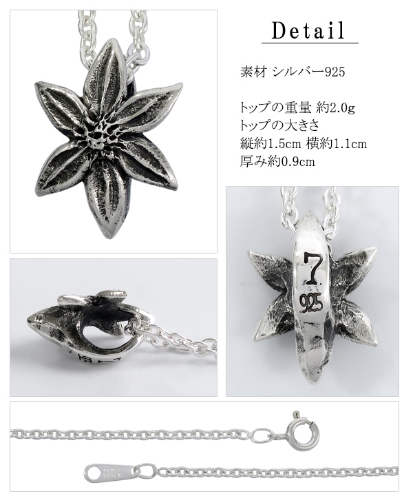 ws-l-07-007-chain