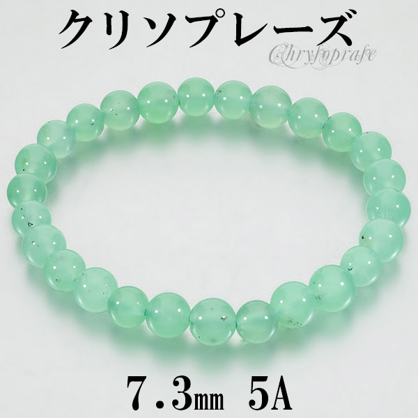 csp-b120