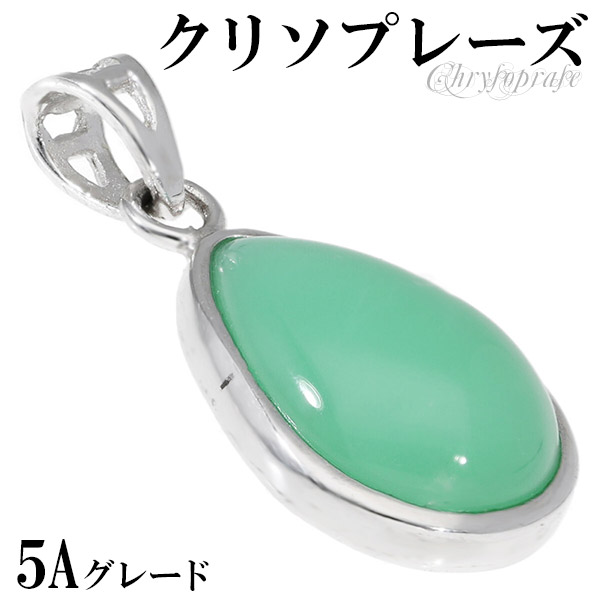 csp-t31
