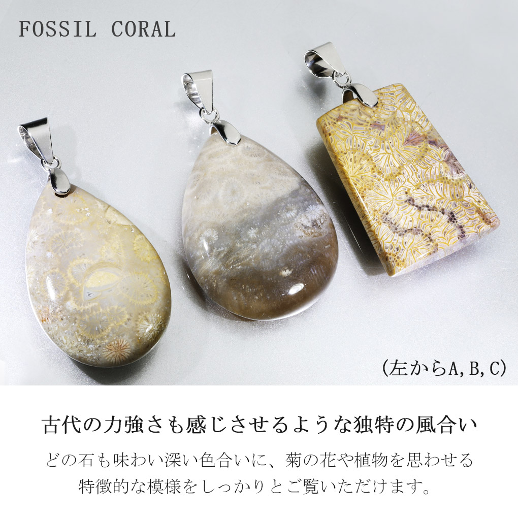 fco-t05