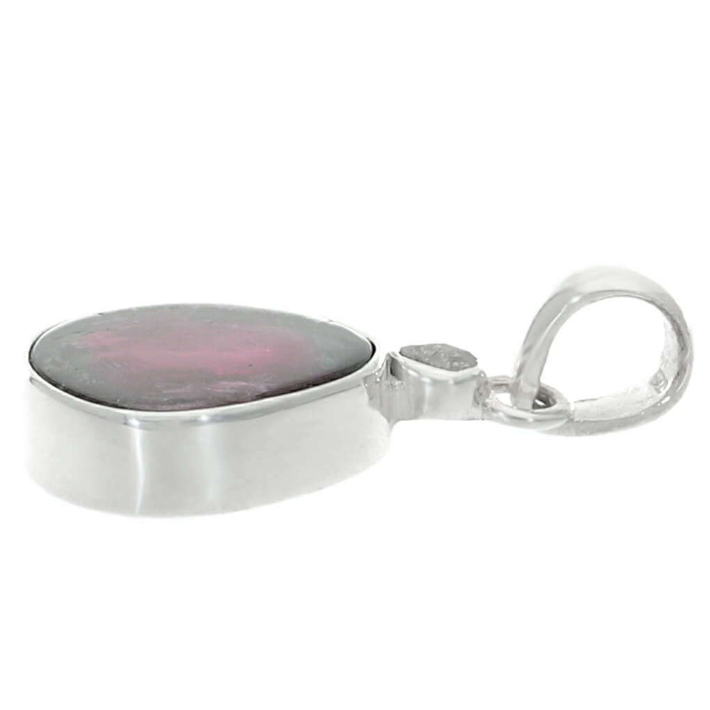 tor-t137