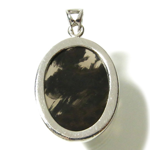 fob-t10