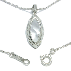sc-t242