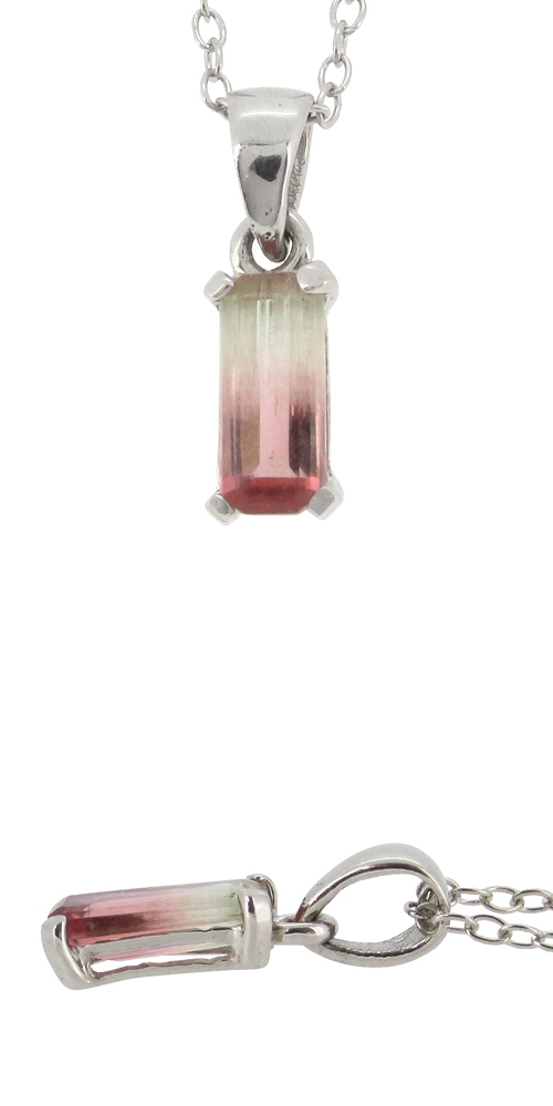 tor-t21