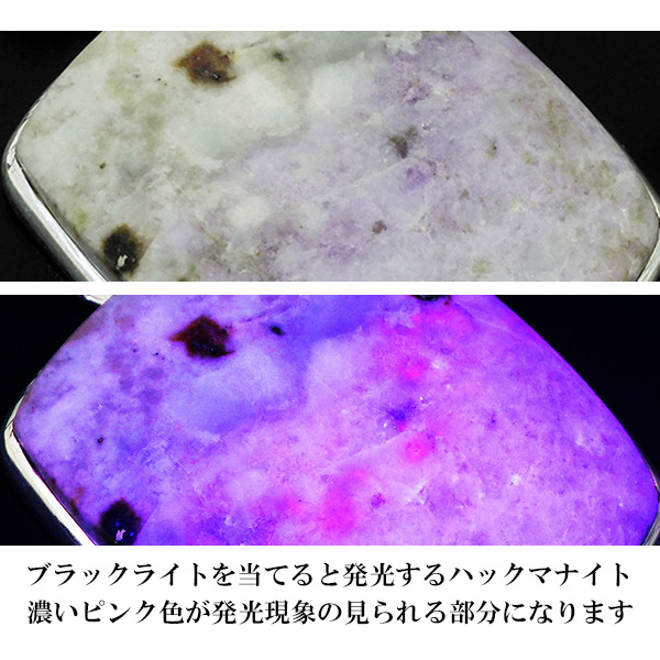 hcm-t02