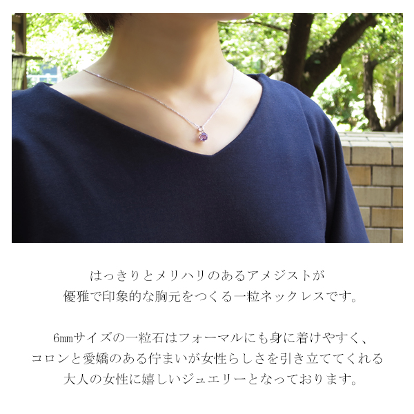 fch-n01-am