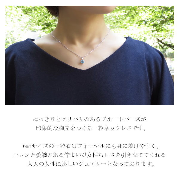 fch-n01-bt