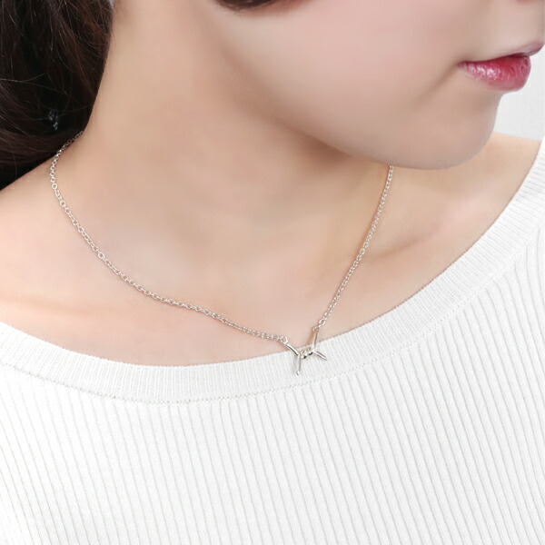 rol-np-n3017
