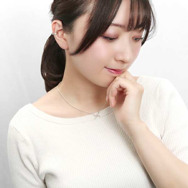 rol-np-n3017