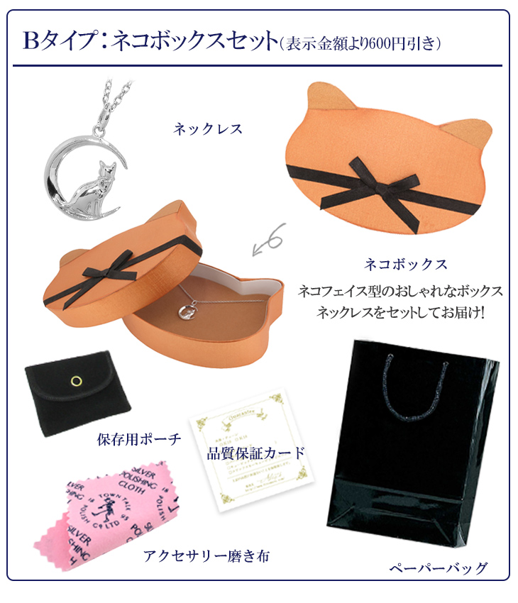 ねこさん専用 新しいセット入れて6セット ねこさんのおうち3(1BOX10個入)【FT60891:4582138608915】