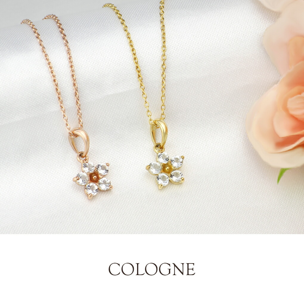 cln-1010g011s