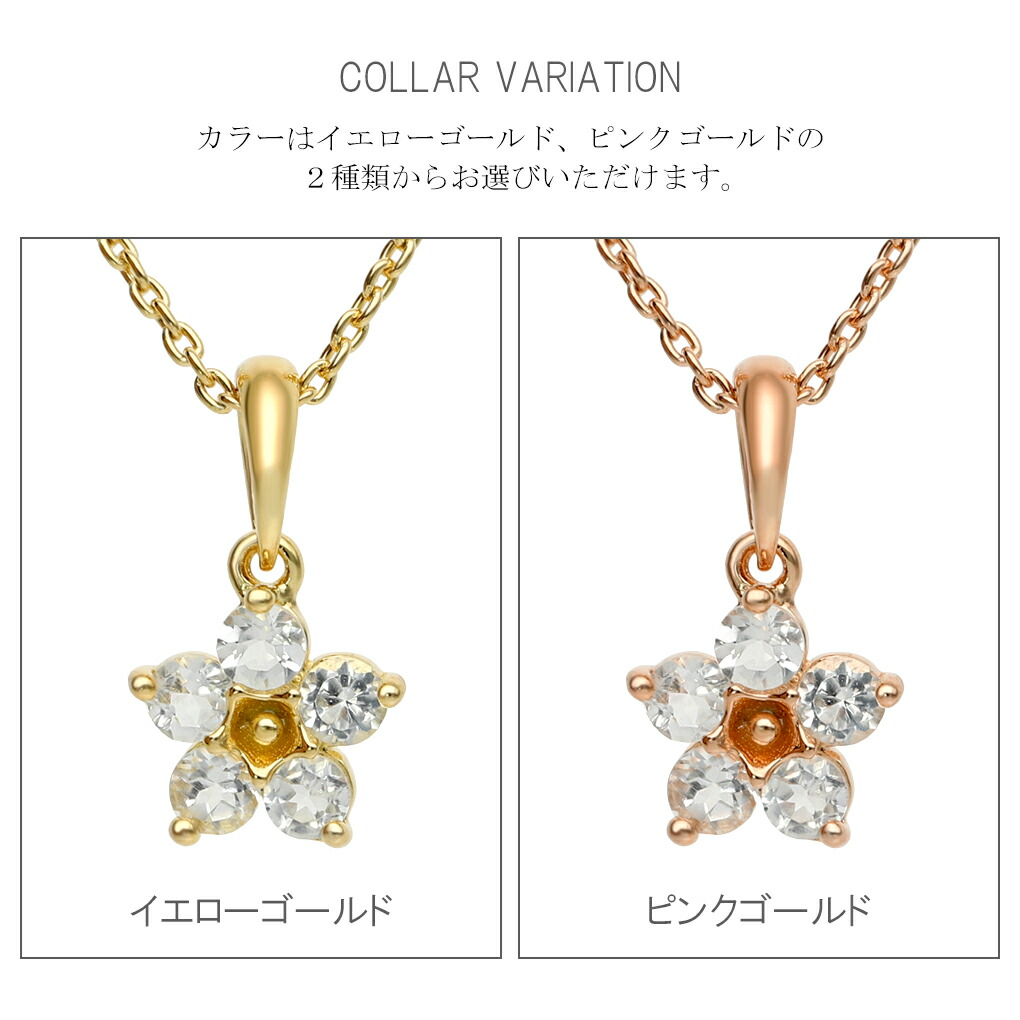 cln-1010g011s