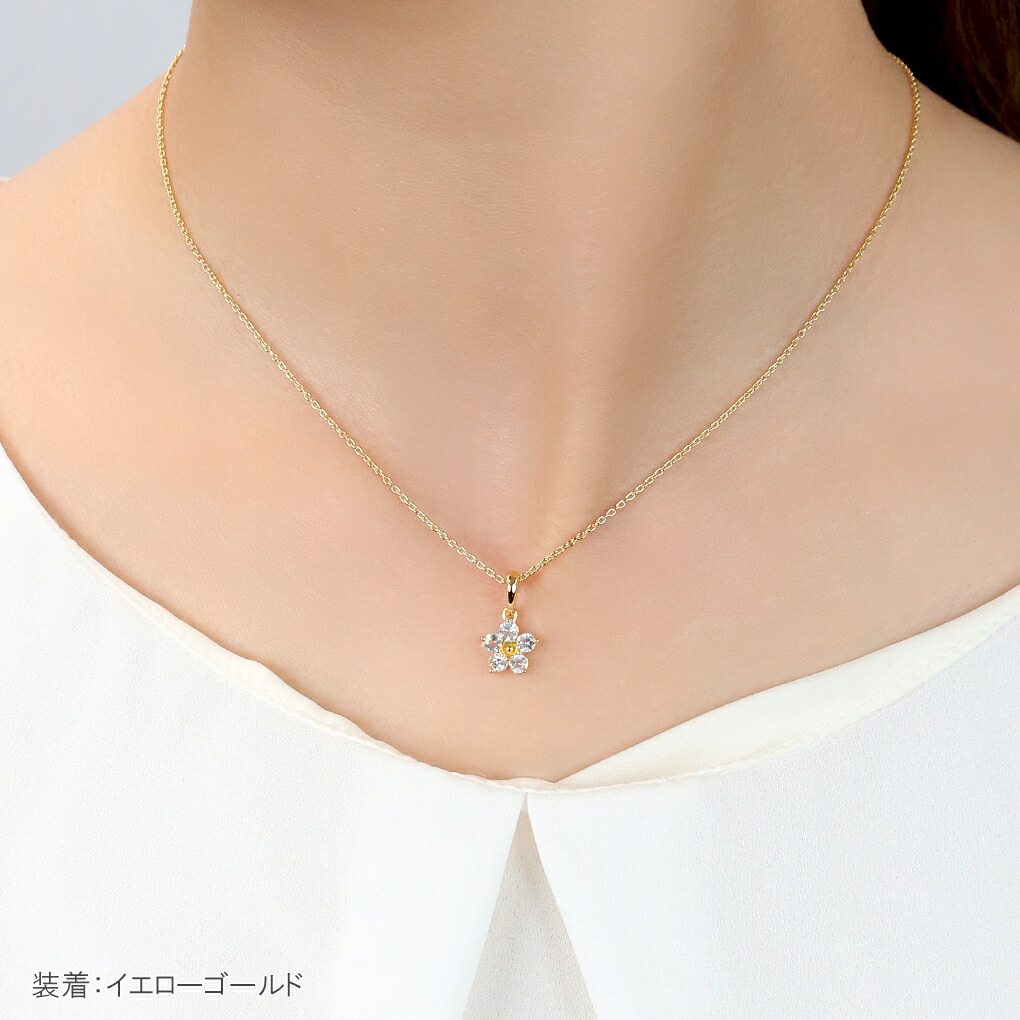 cln-1010g011s