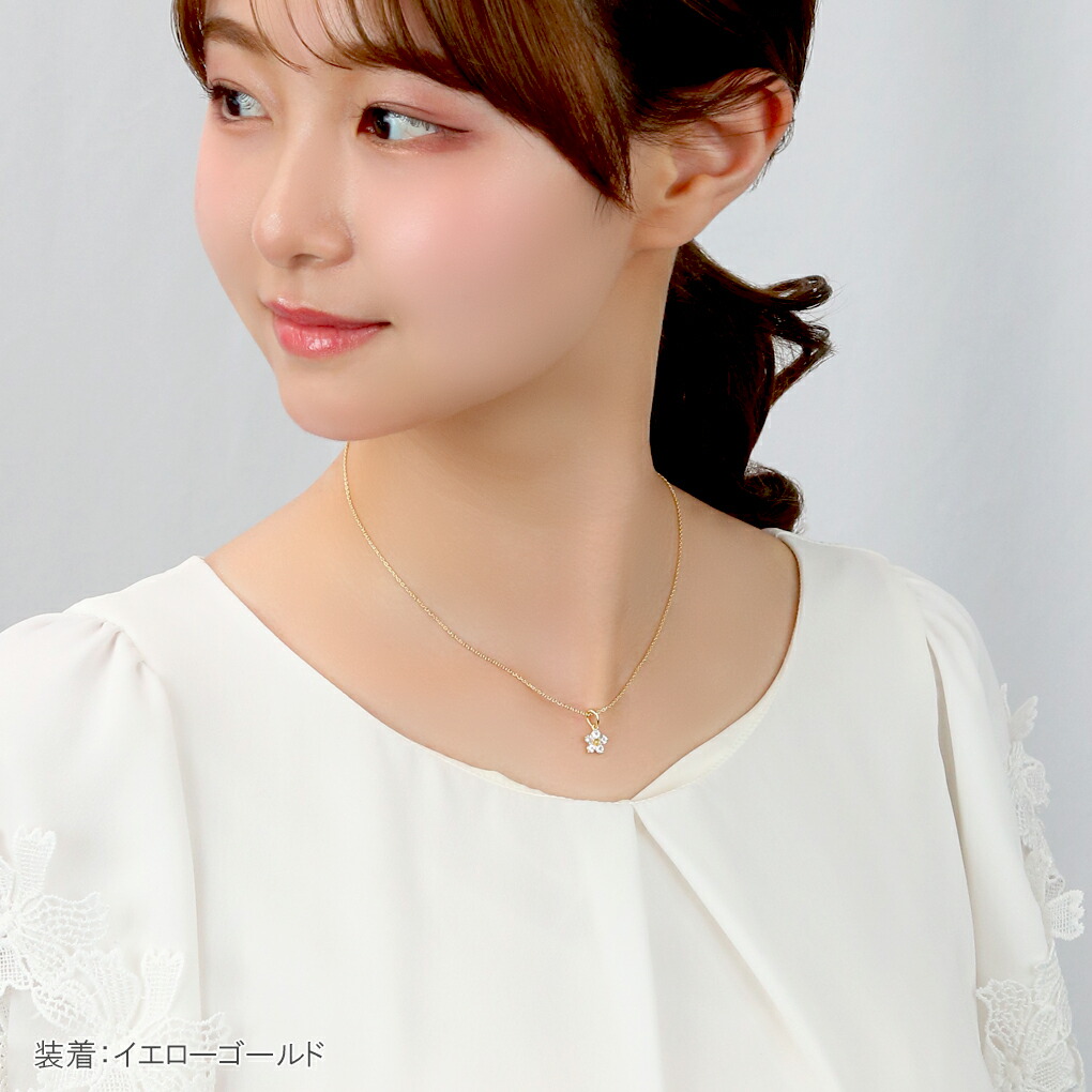 cln-1010g011s