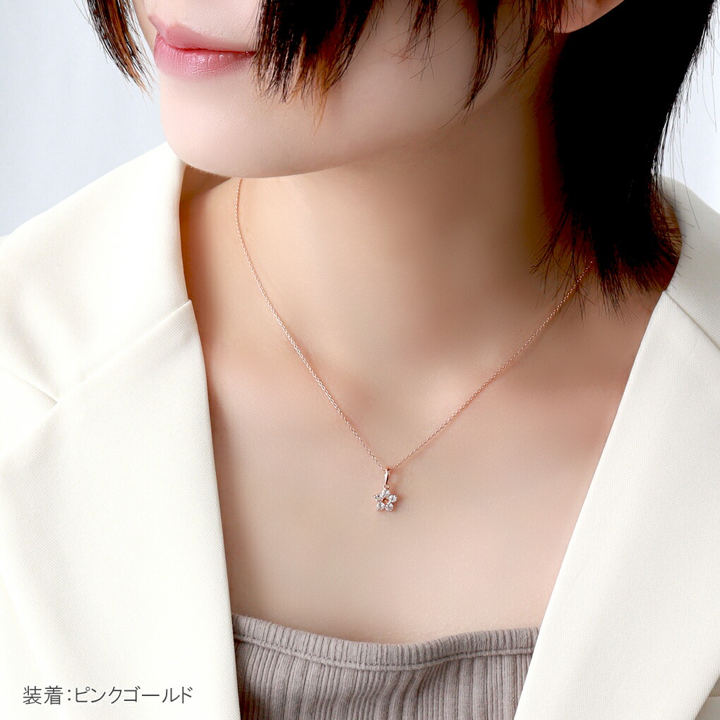 cln-1010g011s